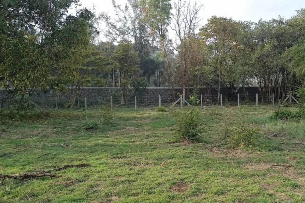 60-guntha-plot-for-sale-at-aliabug