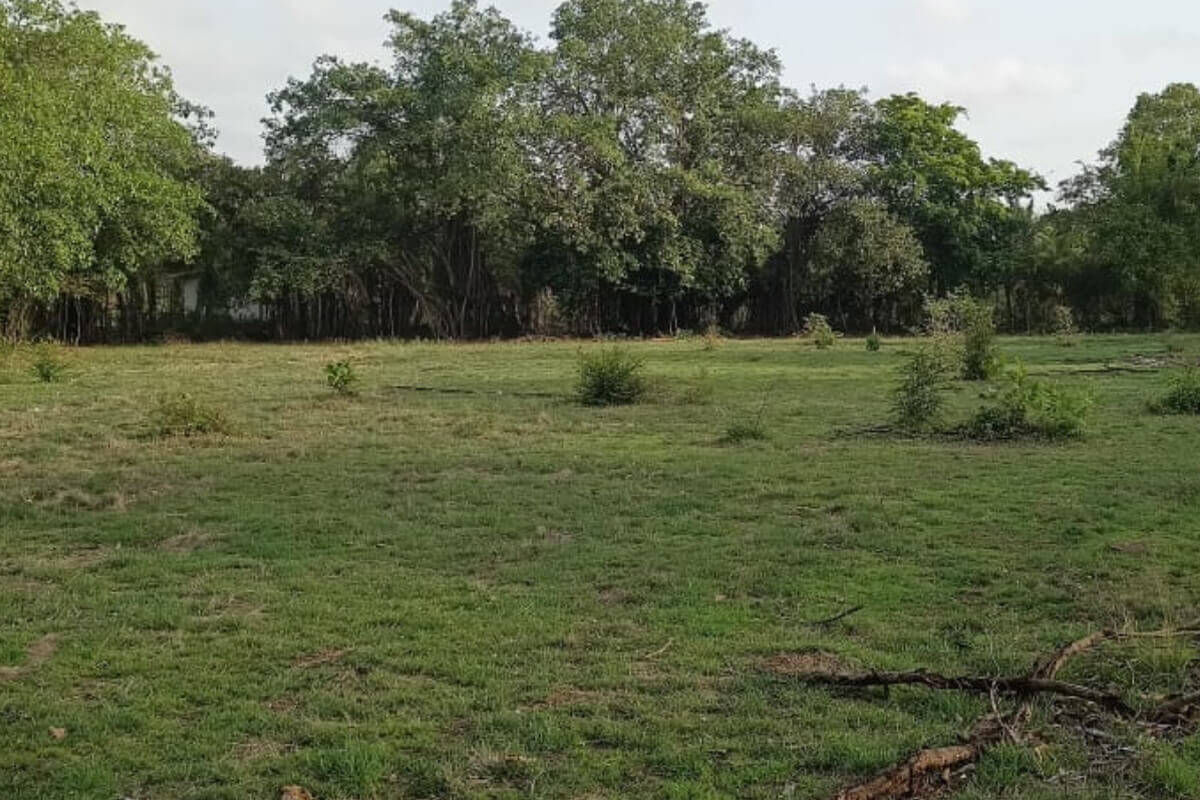 60-guntha-plot-for-sale-at-aliabug-sasawane