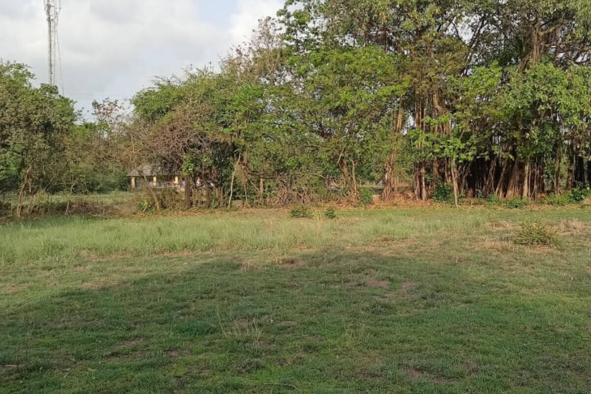 60-guntha-land-for-sale-in-aliabug