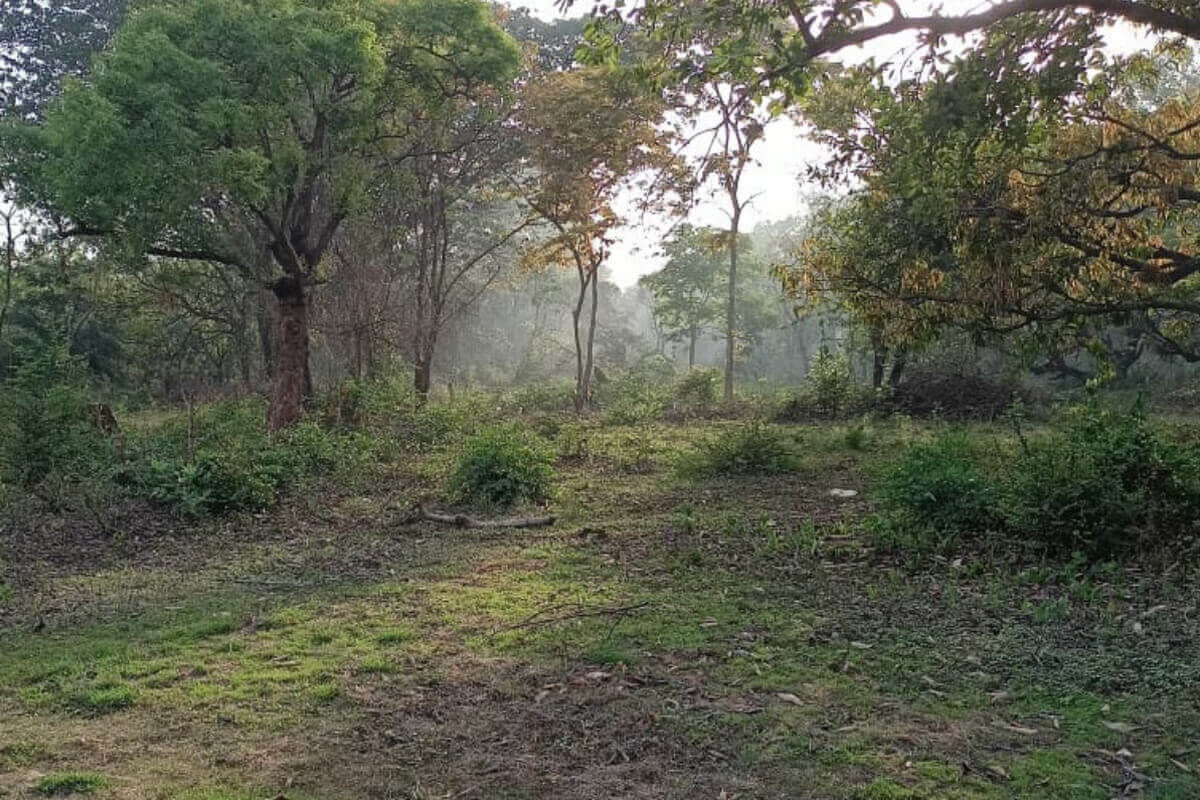 buy-60-guntha-plot-at-sasawane-alibaug