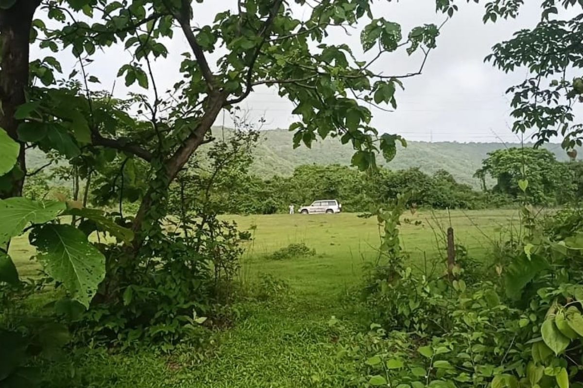 buy-9-acre-at-alibag-for-sale