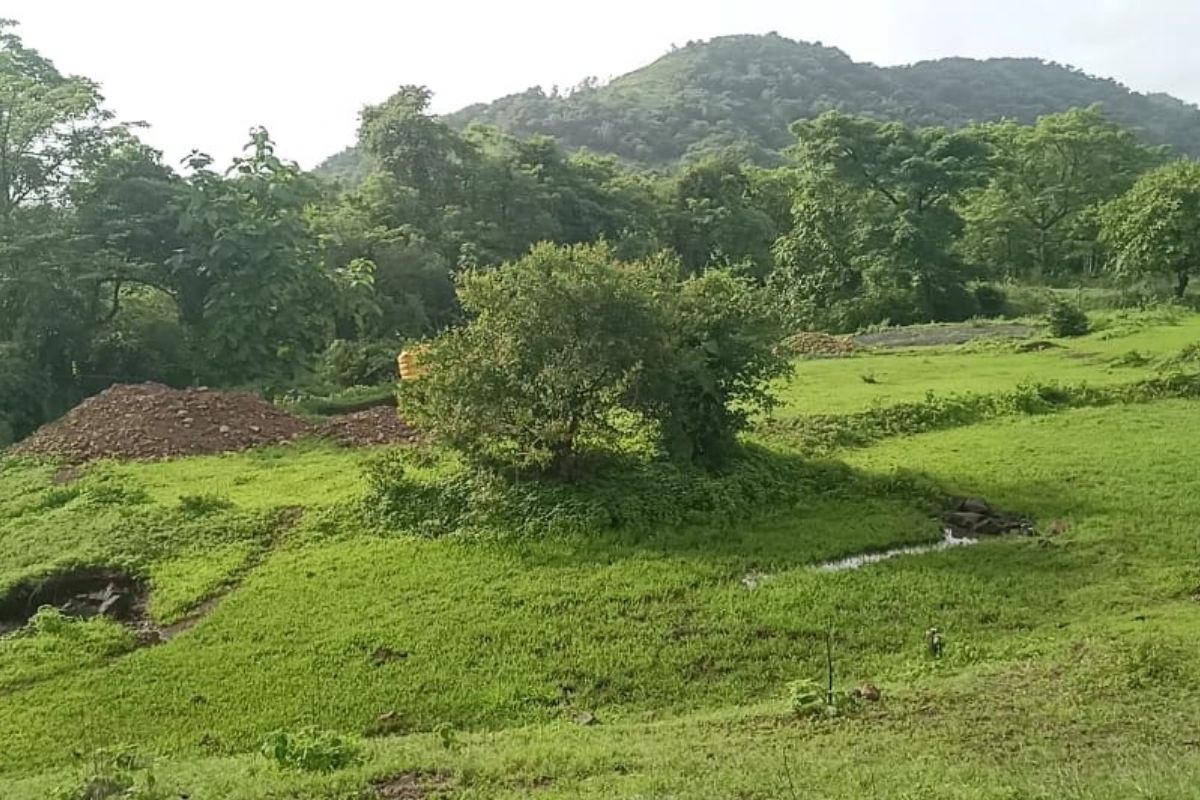 buy-property-in-alibaug-6-acre