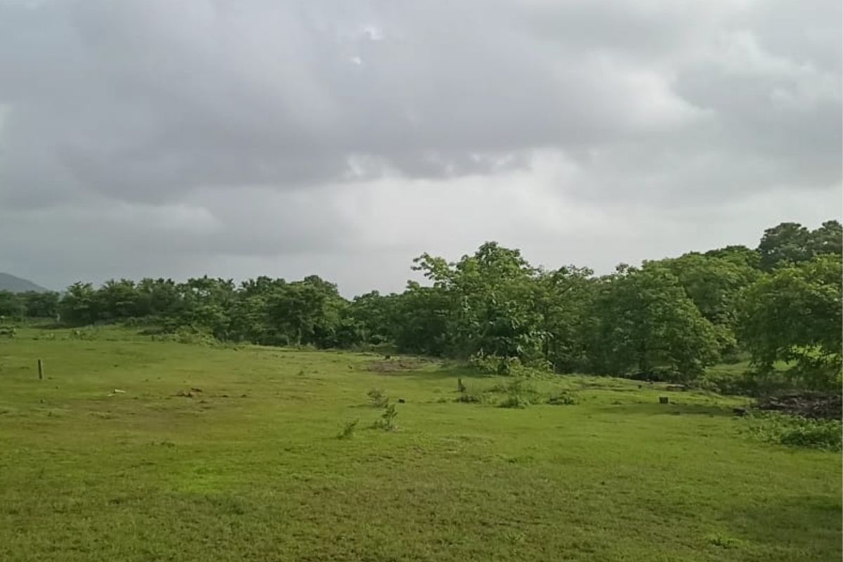property-for-sale-9-acre-zirad