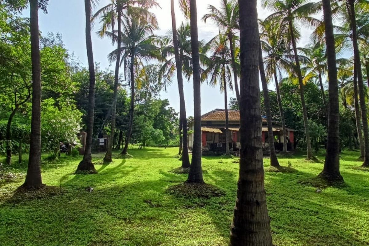 beach-property-for-sale-in-alibaug 