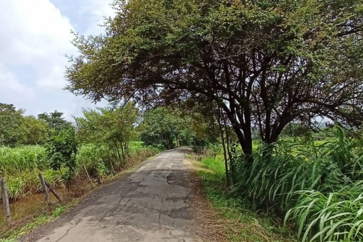 Residential-property-for-sale-in-alibaug 