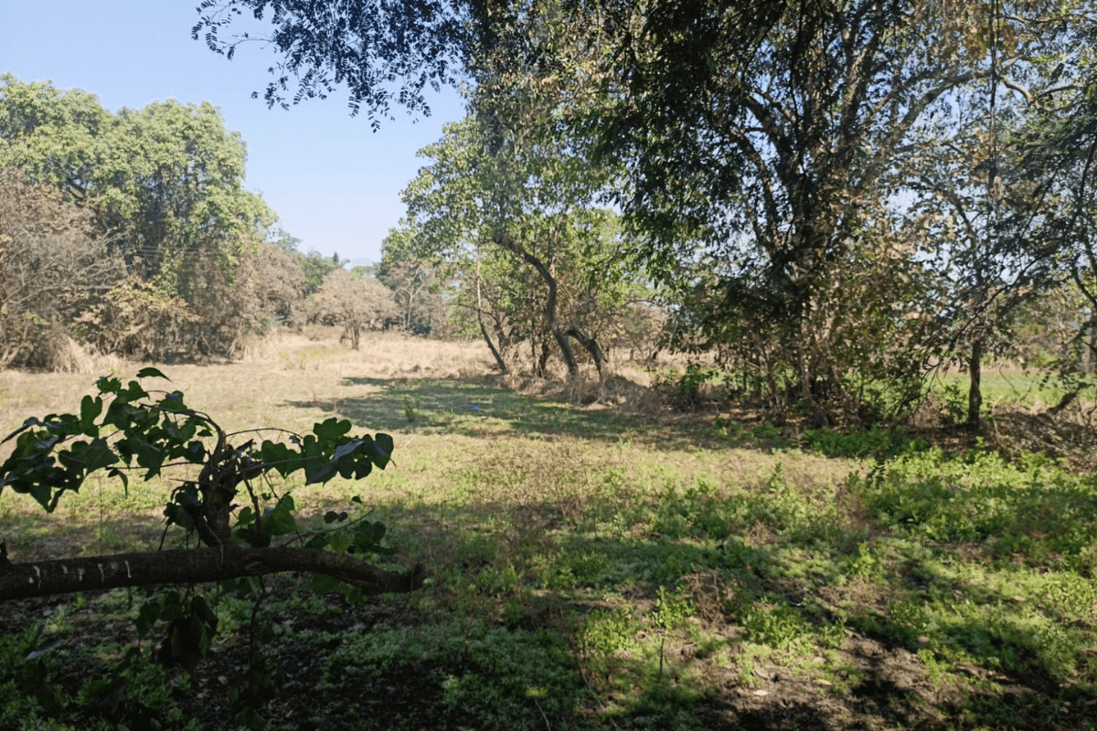 30-guntha-land-for-sale-dhokawade-6