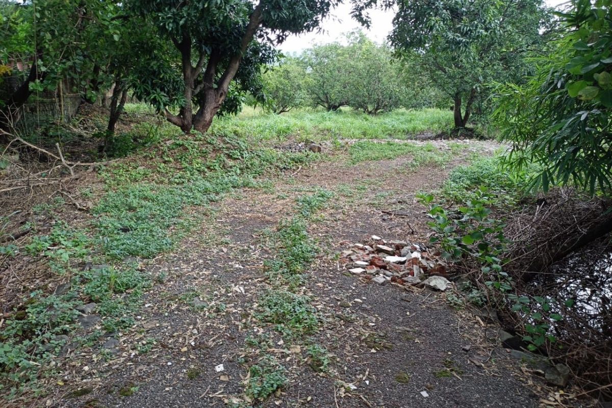 properties_for_sale_in_alibaug_near_mandwa