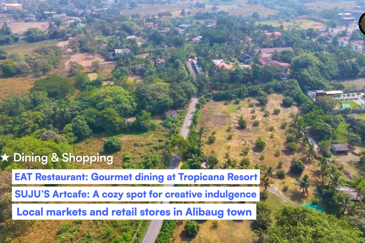 110 Guntha R-Zone Land for Sale in Mapgaon, Alibaug with Scenic Mountain Views and Investment Potential