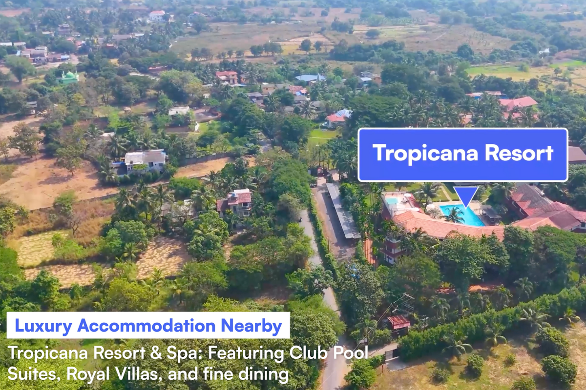 110 Guntha R-Zone Land for Sale in Mapgaon, Alibaug with Scenic Mountain Views and Investment Potential