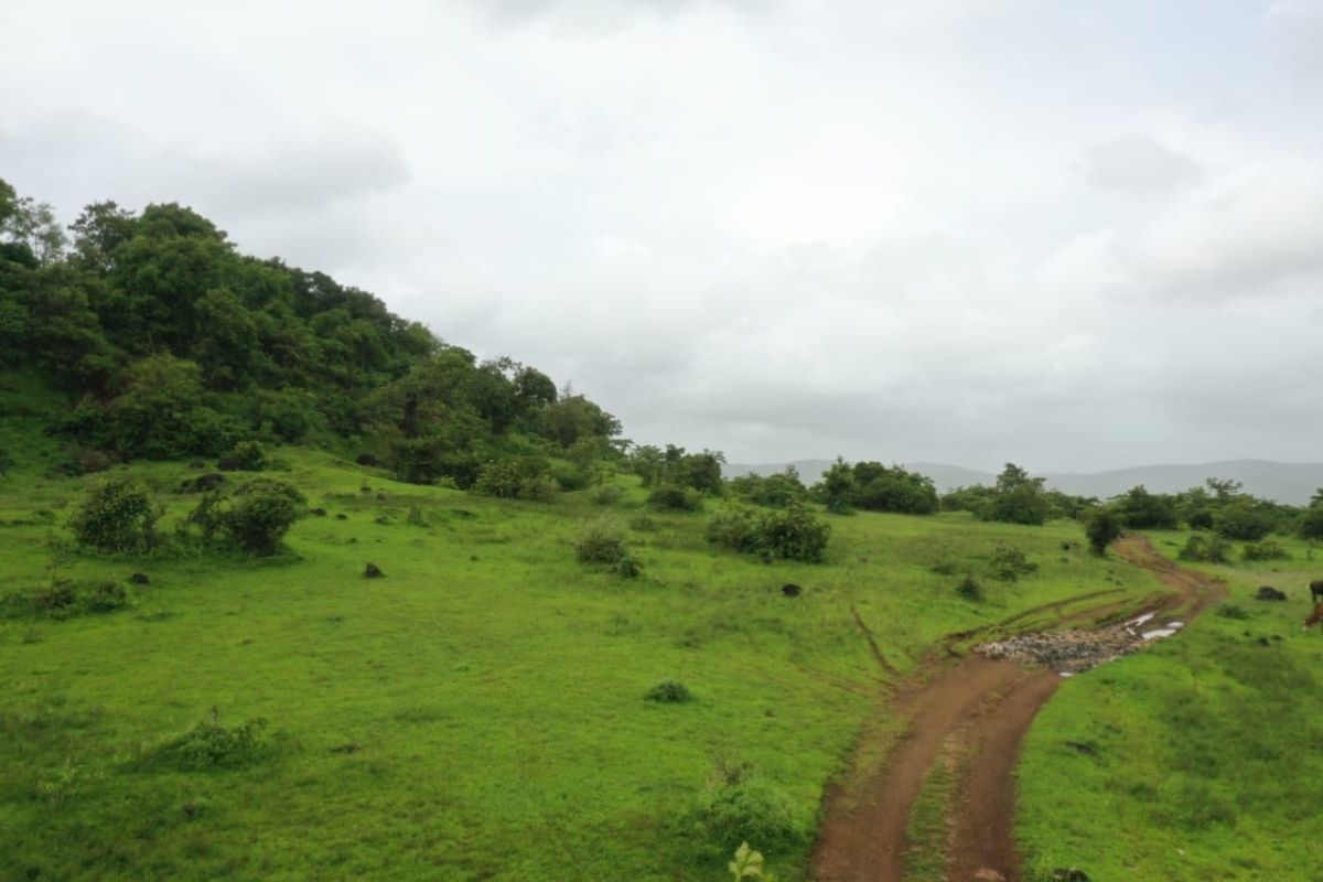 Residential-plot-for-sale-at-alibaug