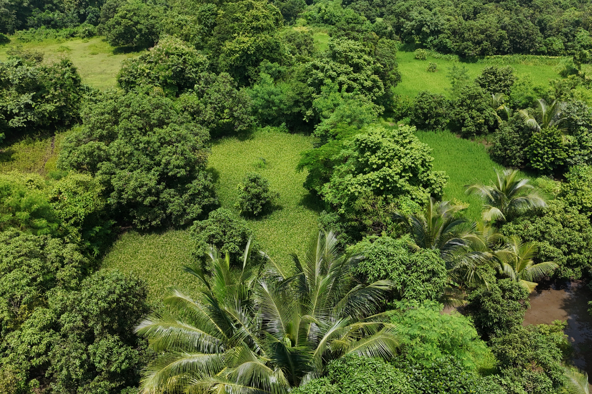 Land in Alibaug near beach with high potential for holiday home project