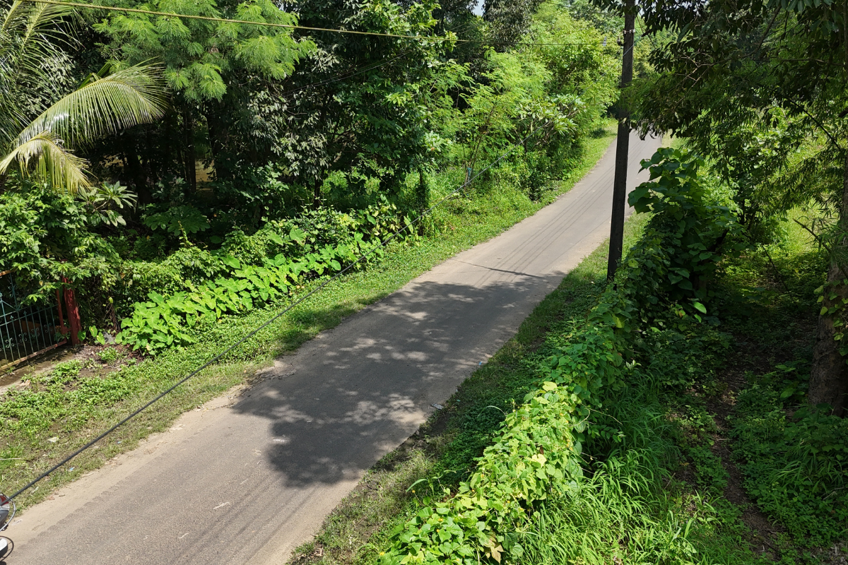 Land for sale in Alibaug 