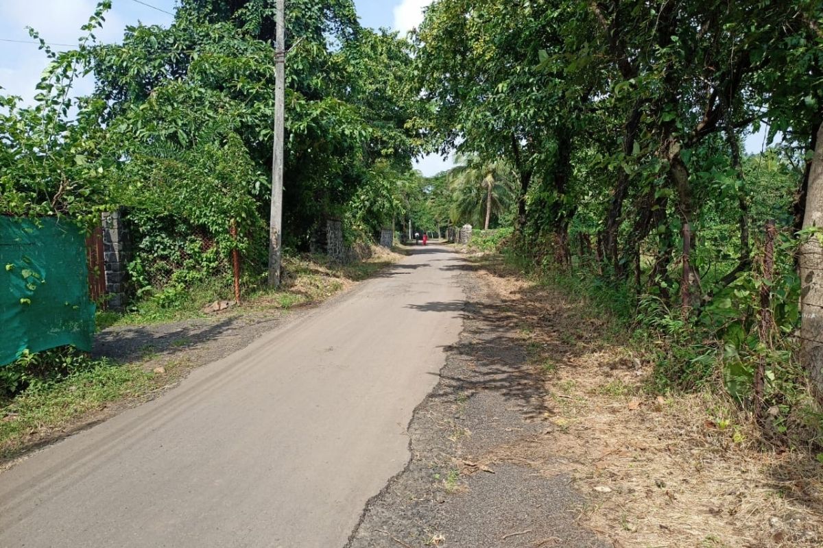 property_for_sale_in_alibaug_4.5_acre