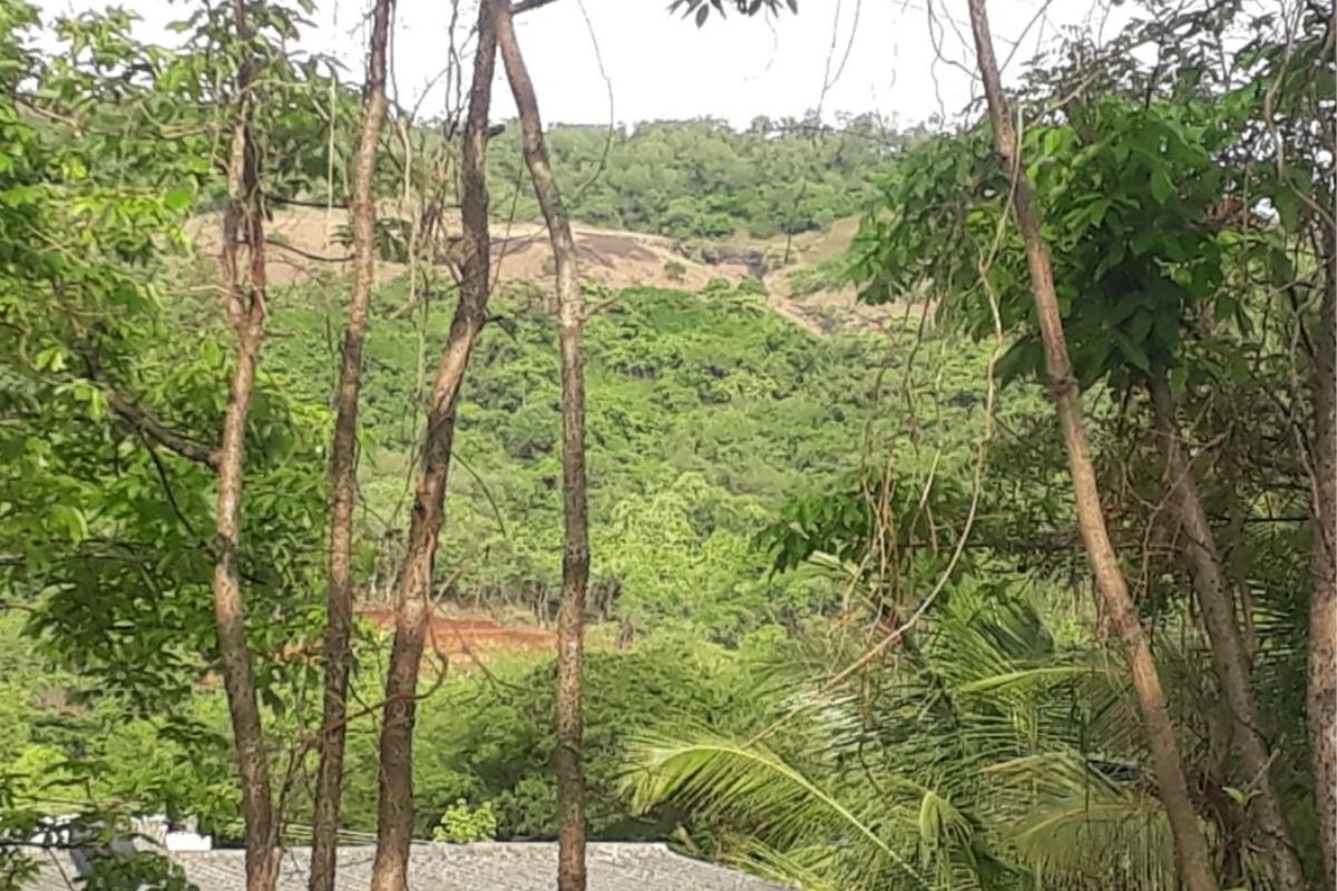 36-guntha-for-sale-alibaug-satirje