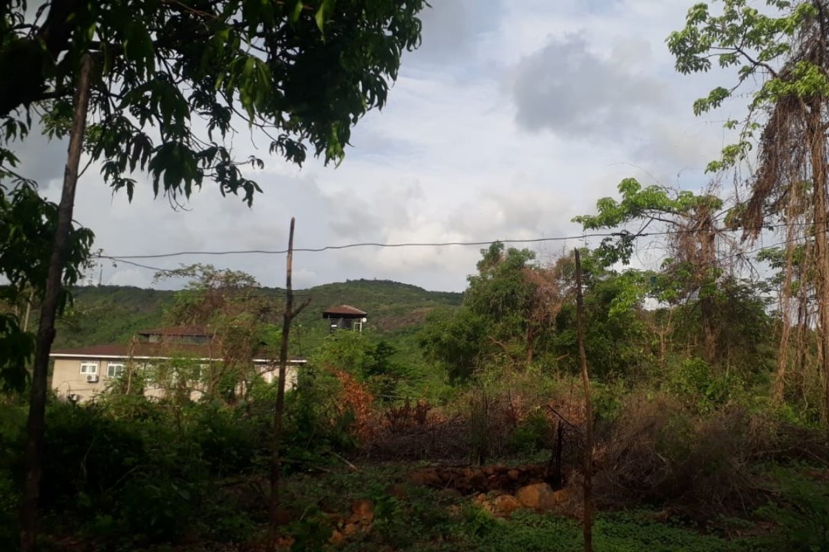 36-guntha-land-for-sale-alibaug-satirje