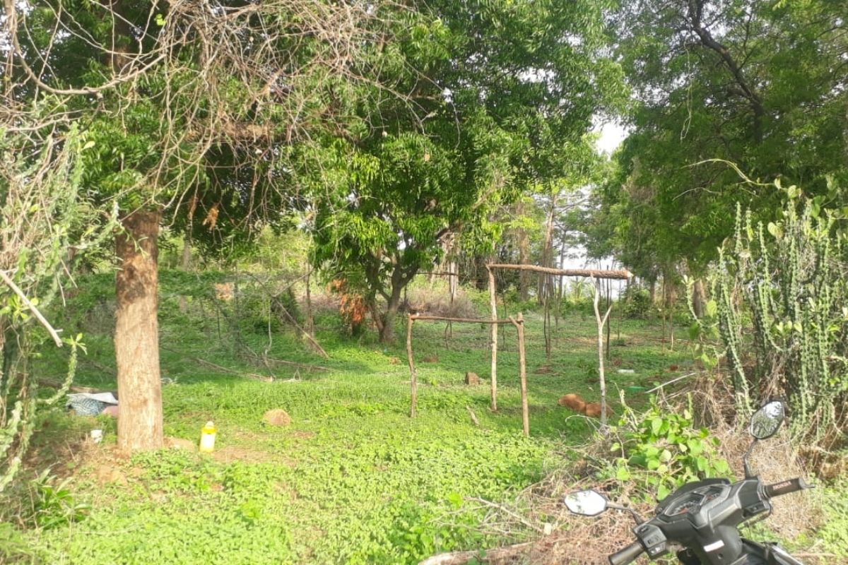 36-guntha-plot-for-sale-alibaug