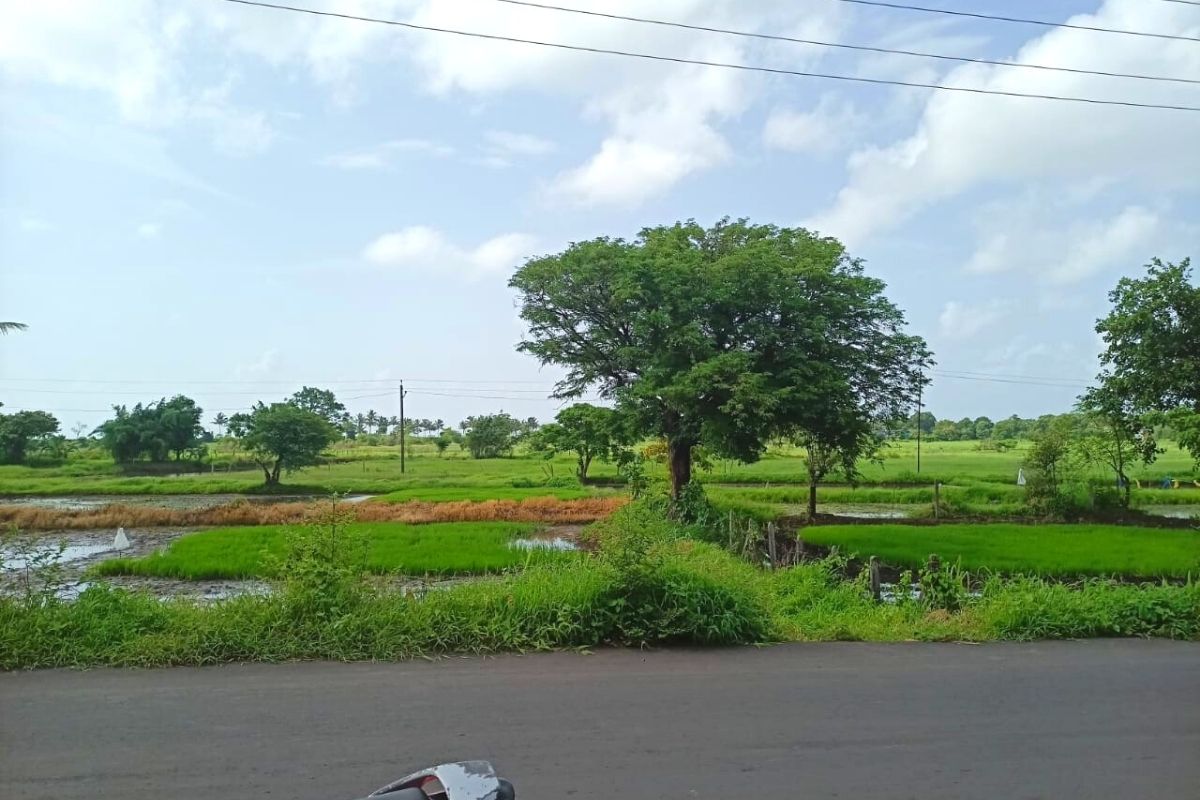 Property-for-sale-near-mandwa